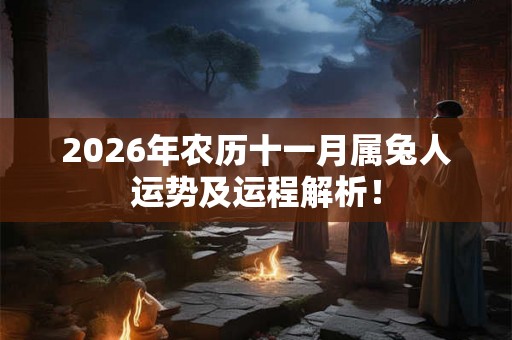 2026年农历十一月属兔人运势及运程解析！