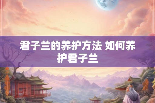 君子兰的养护方法 如何养护君子兰