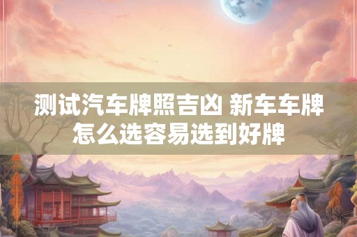 测试汽车牌照吉凶 新车车牌怎么选容易选到好牌