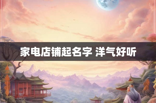 家电店铺起名字 洋气好听