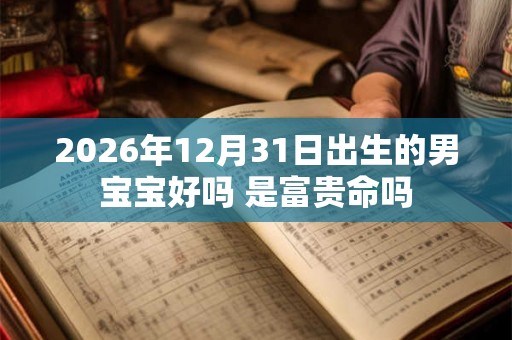2026年12月31日出生的男宝宝好吗 是富贵命吗