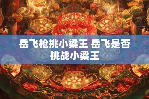 岳飞枪挑小梁王 岳飞是否挑战小梁王