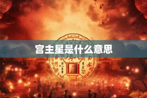 宫主星是什么意思