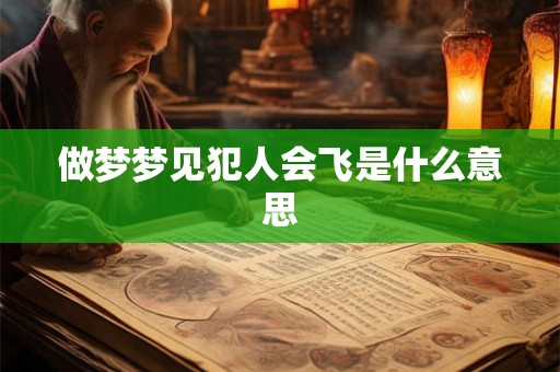 做梦梦见犯人会飞是什么意思