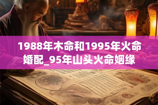 1988年木命和1995年火命婚配_95年山头火命姻缘