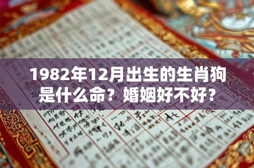 1982年12月出生的生肖狗是什么命？婚姻好不好？