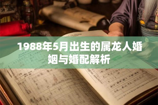 1988年5月出生的属龙人婚姻与婚配解析
