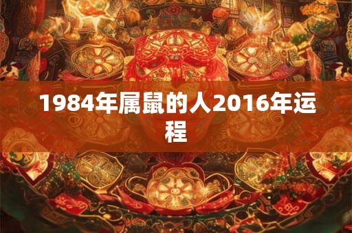 1984年属鼠的人2016年运程