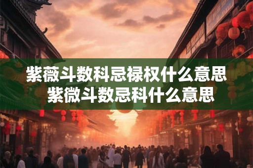 紫薇斗数科忌禄权什么意思  紫微斗数忌科什么意思