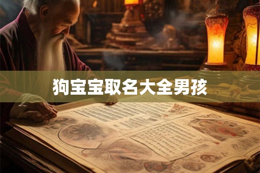 狗宝宝取名大全男孩