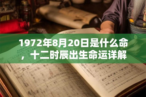 1972年8月20日是什么命，十二时辰出生命运详解