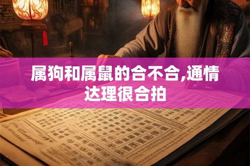 属狗和属鼠的合不合,通情达理很合拍