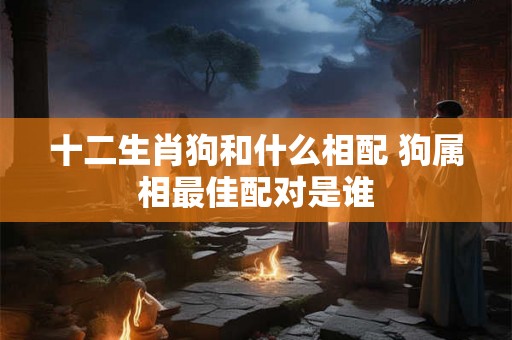 十二生肖狗和什么相配 狗属相最佳配对是谁 十二生肖狗和什么相配 狗属相最佳配对是谁