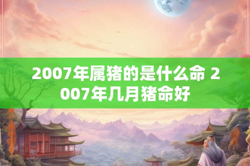 2007年属猪的是什么命 2007年几月猪命好