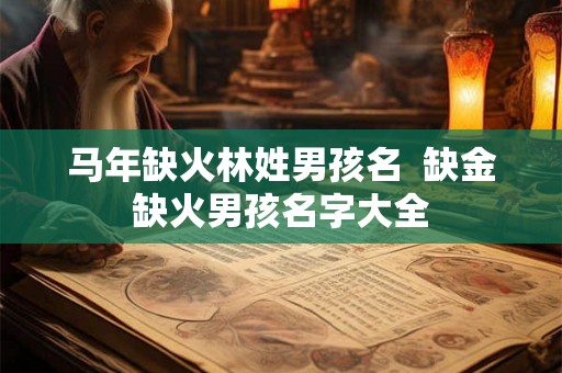 马年缺火林姓男孩名  缺金缺火男孩名字大全