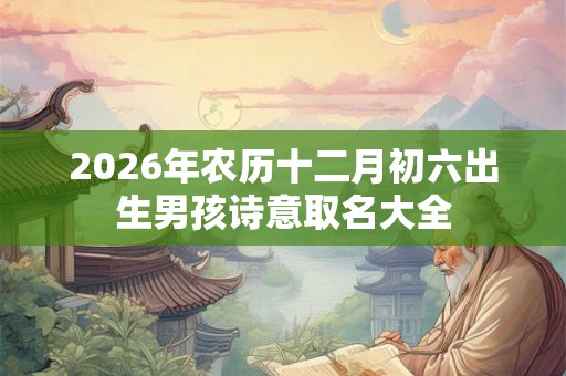 2026年农历十二月初六出生男孩诗意取名大全