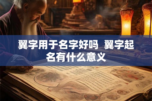 翼字用于名字好吗  翼字起名有什么意义
