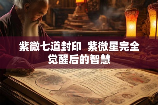 紫微七道封印 紫微星完全觉醒后的智慧 紫微七道封印 紫微星完全觉醒后的智慧