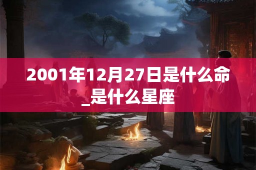 2001年12月27日是什么命_是什么星座