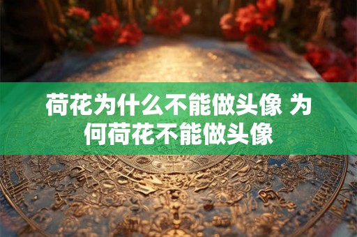 荷花为什么不能做头像 为何荷花不能做头像