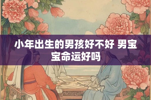 小年出生的男孩好不好 男宝宝命运好吗