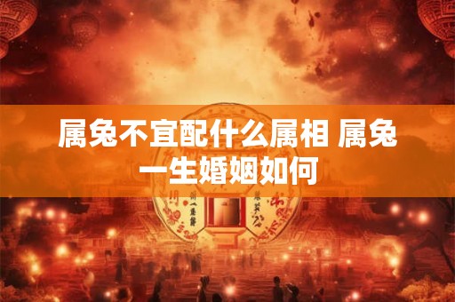 属兔不宜配什么属相 属兔一生婚姻如何