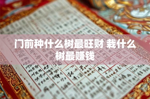 门前种什么树最旺财 栽什么树最赚钱