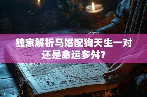 独家解析马婚配狗天生一对还是命运多舛？