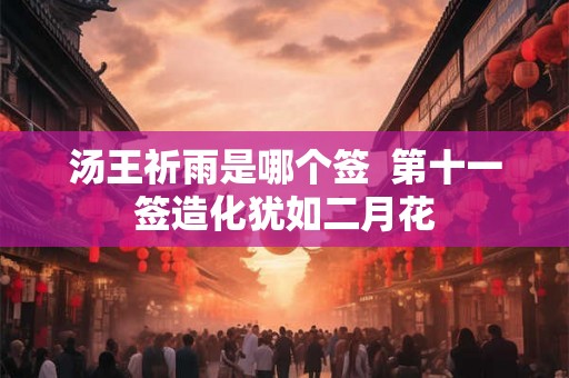 汤王祈雨是哪个签  第十一签造化犹如二月花