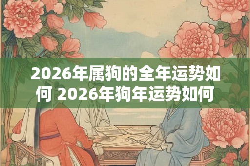2026年属狗的全年运势如何 2026年狗年运势如何