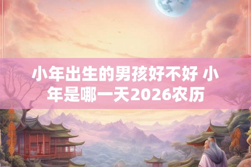 小年出生的男孩好不好 小年是哪一天2026农历