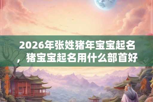 2026年张姓猪年宝宝起名，猪宝宝起名用什么部首好？