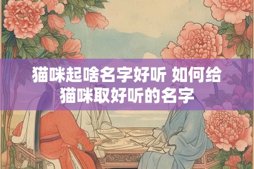 猫咪起啥名字好听 如何给猫咪取好听的名字