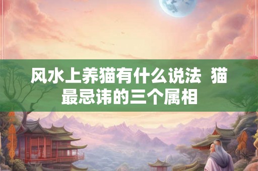 风水上养猫有什么说法  猫最忌讳的三个属相