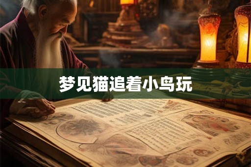 梦见猫追着小鸟玩