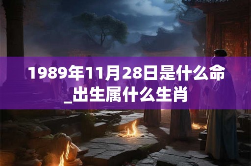 1989年11月28日是什么命_出生属什么生肖
