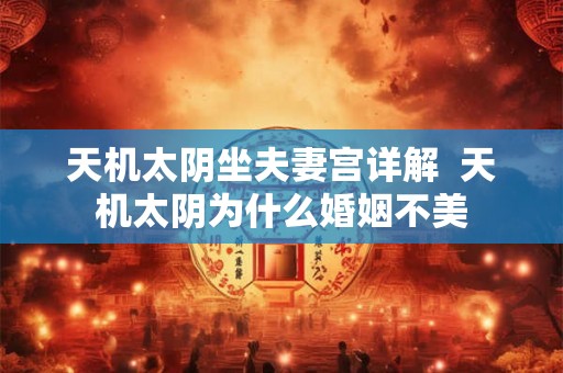 天机太阴坐夫妻宫详解  天机太阴为什么婚姻不美