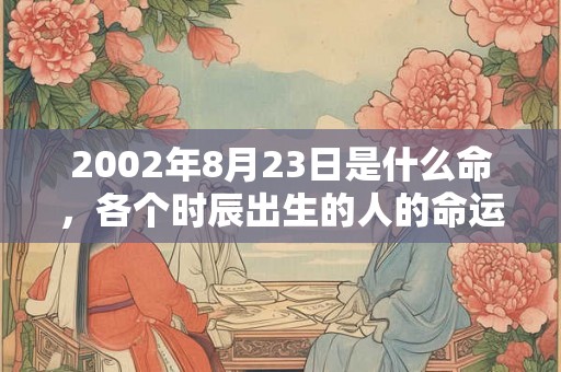 2002年8月23日是什么命，各个时辰出生的人的命运