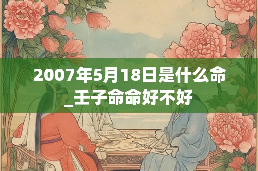 2007年5月18日是什么命_壬子命命好不好