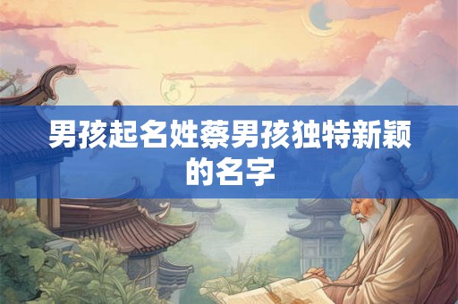 男孩起名姓蔡男孩独特新颖的名字