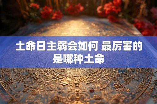 土命日主弱会如何 最厉害的是哪种土命