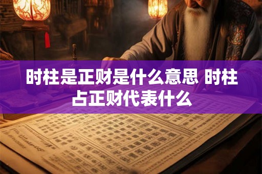 时柱是正财是什么意思 时柱占正财代表什么 时柱是正财是什么意思 时柱占正财代表什么