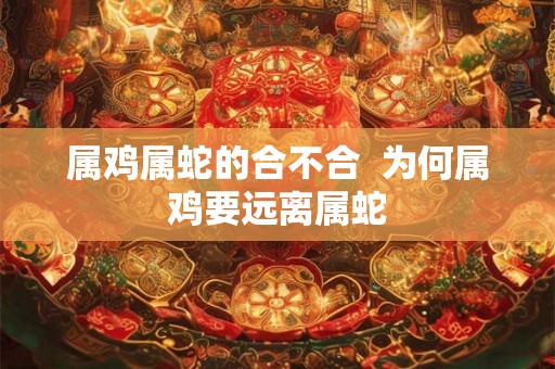 属鸡属蛇的合不合 为何属鸡要远离属蛇 属鸡属蛇的合不合 为何属鸡要远离属蛇