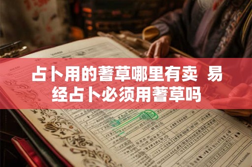 占卜用的蓍草哪里有卖  易经占卜必须用蓍草吗