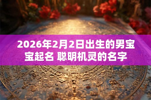 2026年2月2日出生的男宝宝起名 聪明机灵的名字