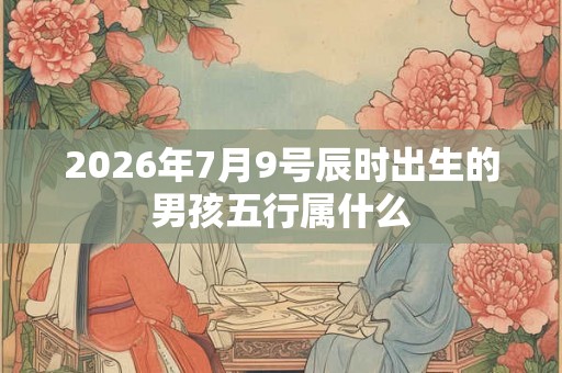 2026年7月9号辰时出生的男孩五行属什么
