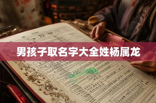 男孩子取名字大全姓杨属龙