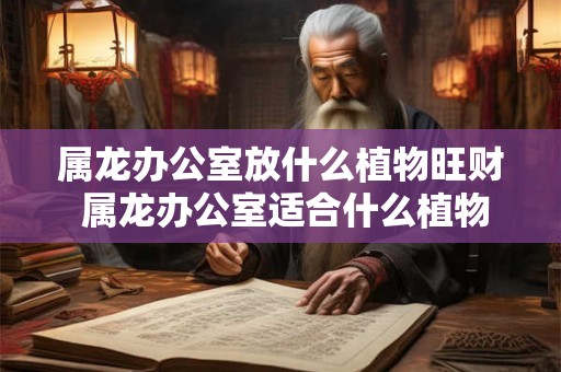 属龙办公室放什么植物旺财 属龙办公室适合什么植物旺财