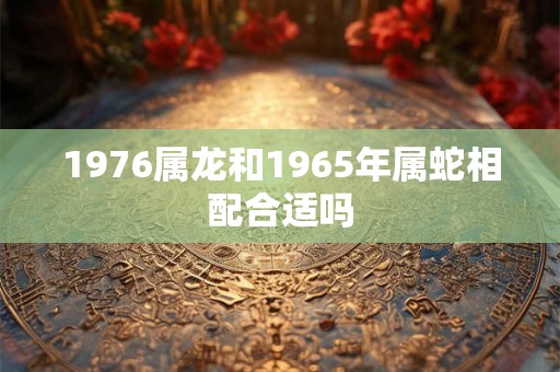 1976属龙和1965年属蛇相配合适吗 1976属龙和1965年属蛇相配合适吗