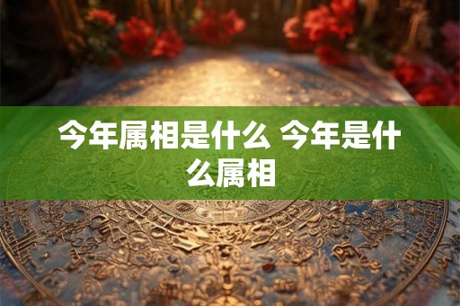 今年属相是什么 今年是什么属相 今年属相是什么 今年是什么属相